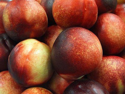 Wat is nuttig voor nectarine?