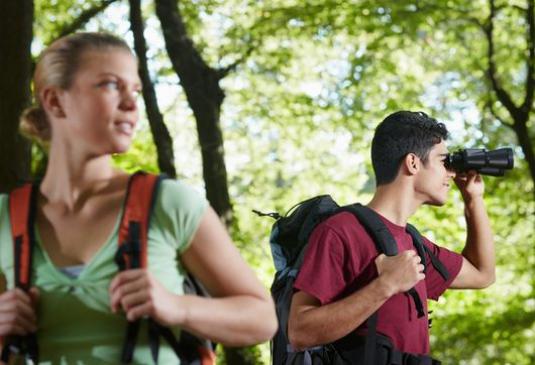 Wat te doen in het bos?