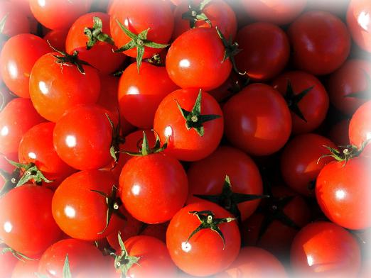 Wat is de droom van tomaten?