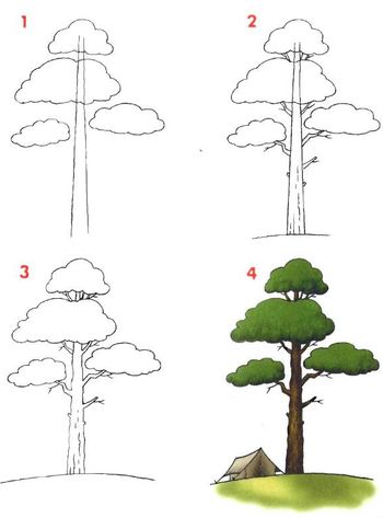 Hoe een denneboom te tekenen?