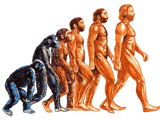 Wat is evolutie?