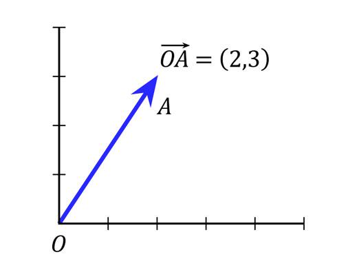 Hoe de lengte van een vector te vinden?