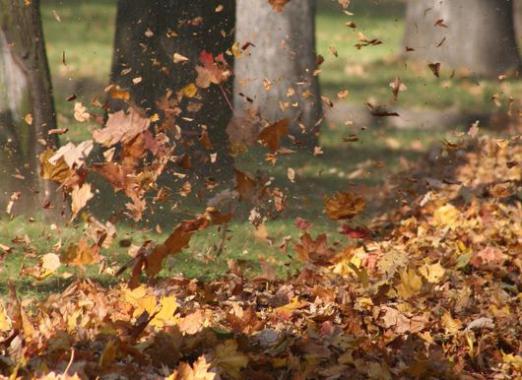 Wat is het: de wind?