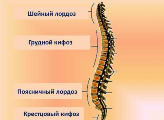 Wat is Kyphosis?