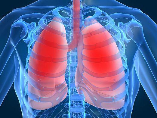 Hoe zien de longen eruit?