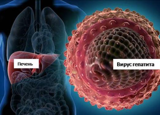 Wat zijn hepatitis?